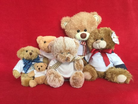Personalised Teddy Bears